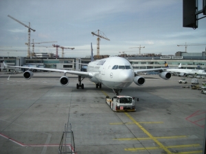 LH736 Airbus A340-300